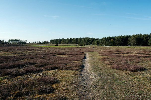 Wanderweg durch Feld in einem Naturschutzgebiet. Weit in der Ferne ist eine unkenntliche Person zu sehen. Foto aufgenommen an einem Sommertag auf dem Land in Skane, Schweden - Foto, Bild