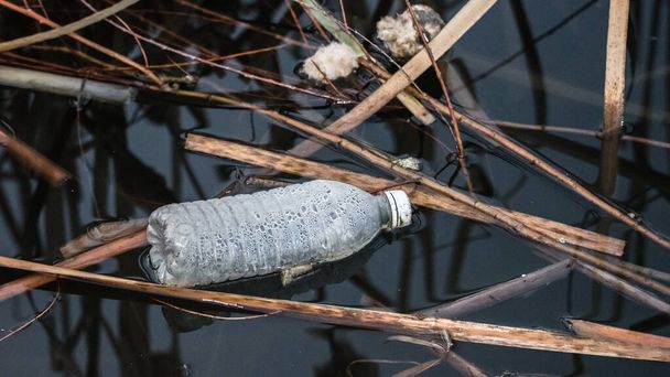 Plastic water bottle pollution in nature background. Floating garbage and trash environmental damage concept - Photo, Image