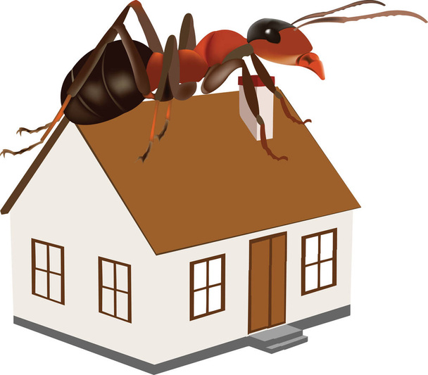 red ants on the house extermination - Vector, Image