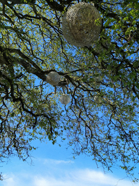 Ενάντια στον γαλάζιο ουρανό, τα κλαδιά ενός πλατύφυλλου δέντρου με διακοσμητικές χειροποίητες μπάλες. - Φωτογραφία, εικόνα