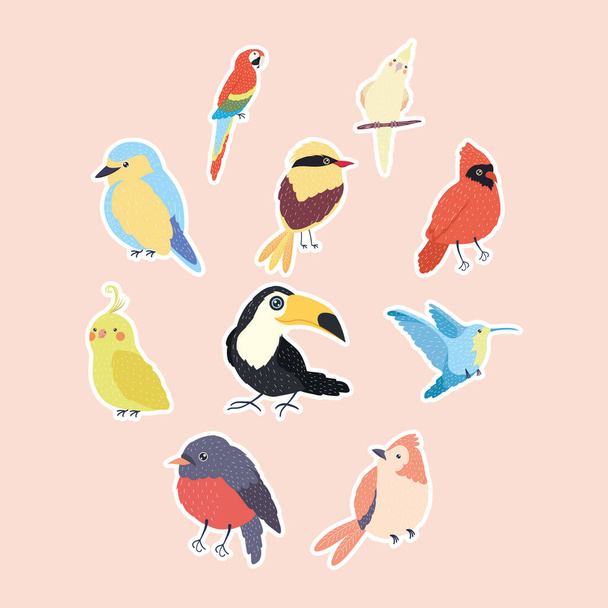 dix espèces d'oiseaux - Vecteur, image