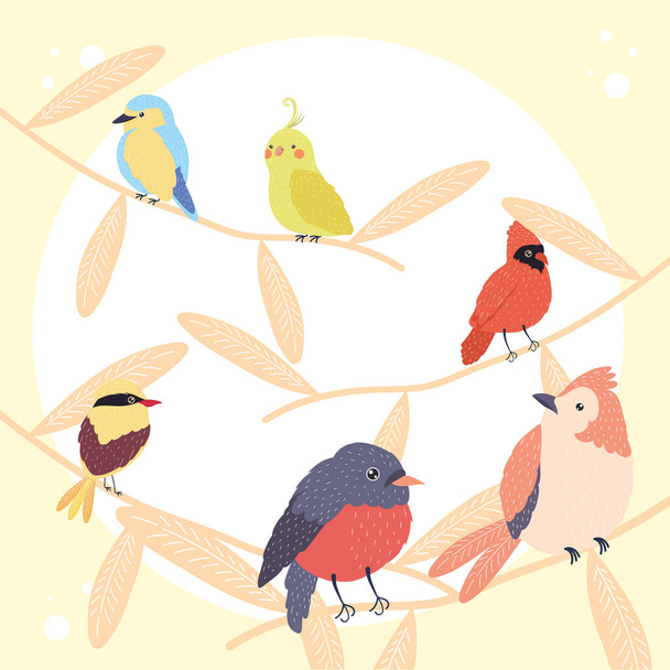 cinco especies de aves - Vector, Imagen