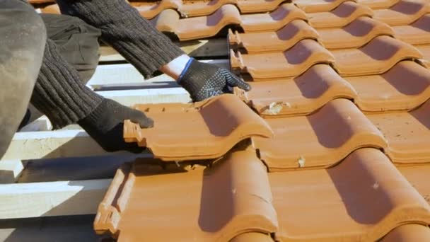 Gros plan des mains des travailleurs installant des tuiles de toiture en céramique jaune montées sur des panneaux de bois couvrant le toit du bâtiment résidentiel en construction. - Séquence, vidéo