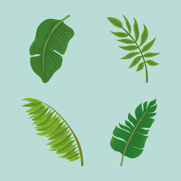 hojas de palma follaje - Vector, Imagen