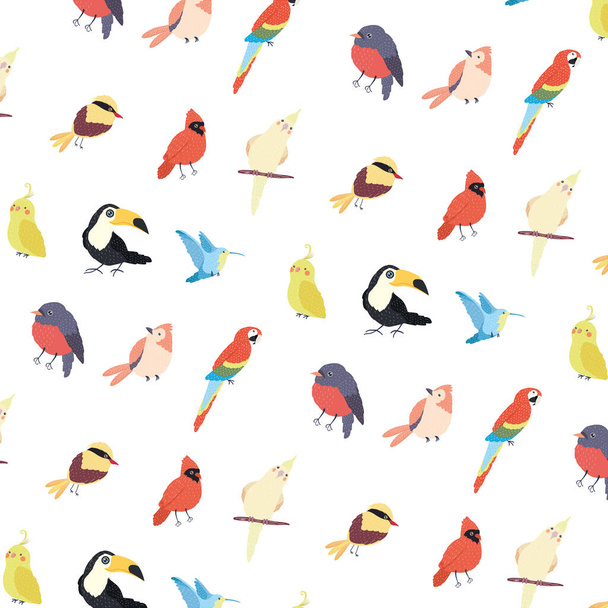 patrón de especies de aves - Vector, Imagen
