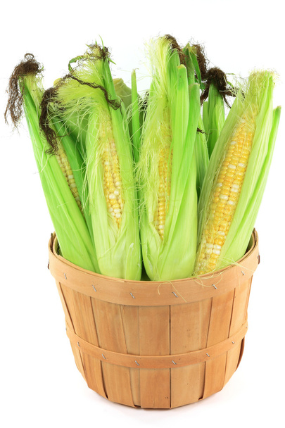 Still Picture of corncobs with leaves and corn silk in wooden basket bushel over white background. - Photo, Image