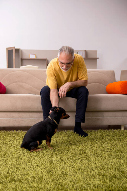 Aged man with little dog at home - Foto, afbeelding