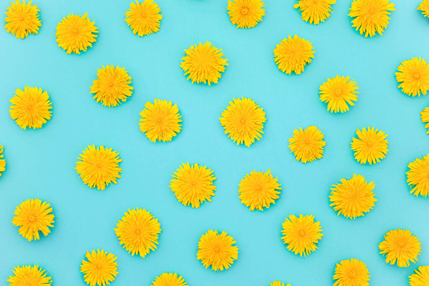 Pattern of of yellow dandelions on blue background, as a backdrop or texture. Spring, summer wallpaper for your design. Top view Flat lay. - Фото, зображення