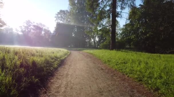 Aereo drone vista volo sul sentiero sterrato nel parco in prima mattina - Filmati, video