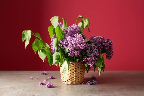 Vaso com belas flores lilás no fundo de cor - Foto, Imagem