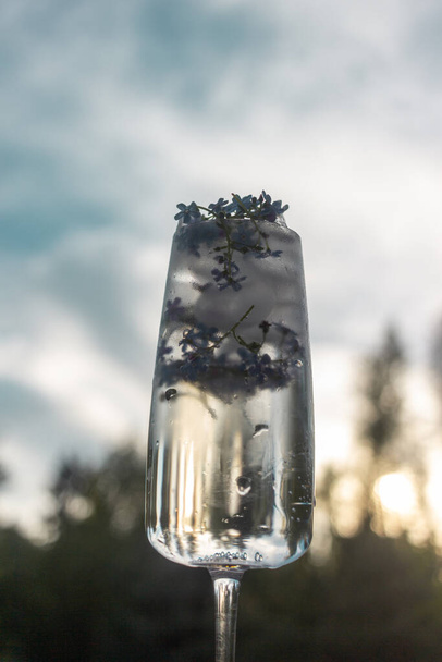 ice glass with water and blue flowers on the background of the sky  - Foto, immagini