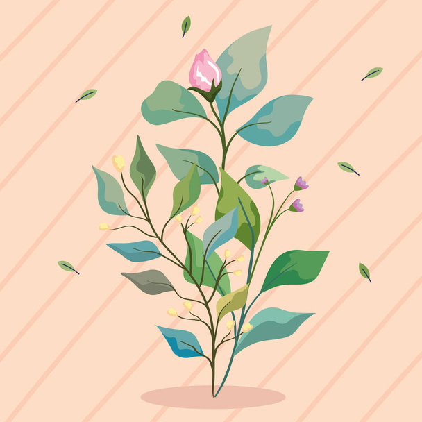 flower bud plant - Vector, Image
