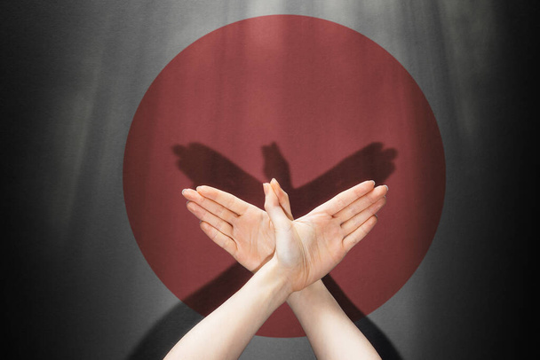 Théâtre d'ombres. Les mains d'une femme montrent la figure d'une colombe. Sur le mur sombre avec un cercle rouge, l'ombre des mains en forme d'oiseau. Le concept de liberté et de paix. - Photo, image