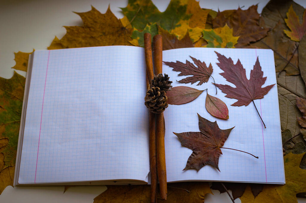 The autumn theme is back to school. The yellowed leaves lie on a notebook. - Photo, image