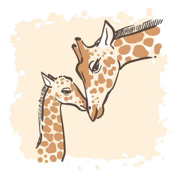 Sketchy portrait of two giraffes. Hand drawn color illustration. Simple line drawing - Vector, Image