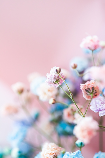 Квіти в саду, квіткова краса і ботанічний фон для весільних запрошень і вітальних листівок, концепція природи і навколишнього середовища
 - Фото, зображення