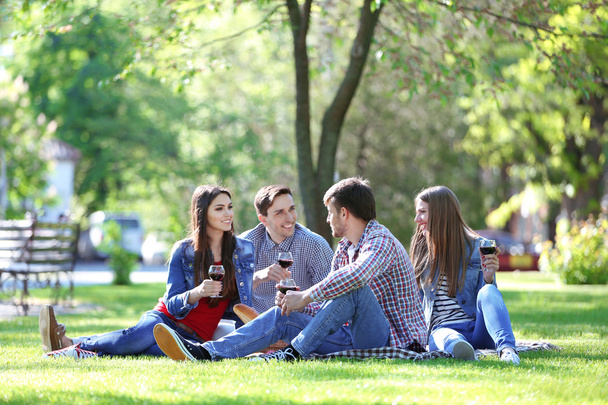 Happy friends on picnic in park - Fotografie, Obrázek