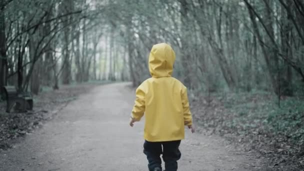 Маленька дитина в жовтому плащі з капюшоном ходить у темному страшному лісі
 - Кадри, відео