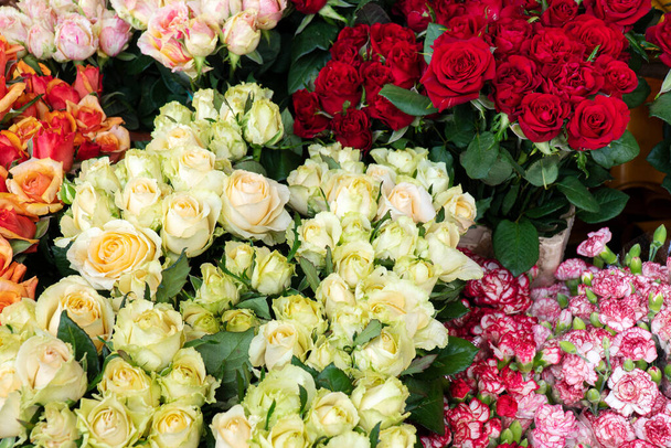 Variedade de grupo de rosas em uma florista loja. Fundo flor - Foto, Imagem