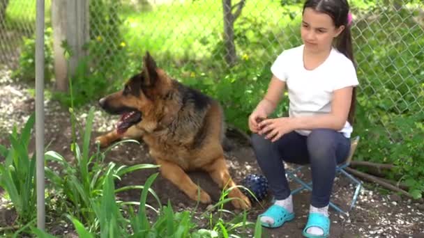 Χαρούμενο κοριτσάκι με ένα σκύλο Γερμανικό βοσκό - Πλάνα, βίντεο