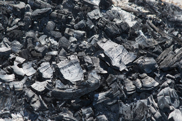 Černé uhlí, které zbylo ze dřeva spáleného v ohni  - Fotografie, Obrázek