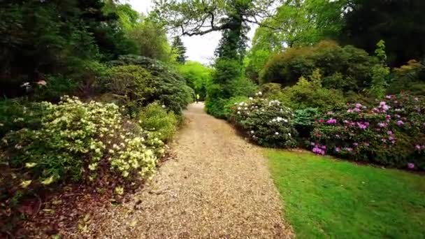 Piante colorate durante la primavera nei giardini di Exbury, un grande giardino boschivo appartenente alla famiglia Rothschild nell'Hampshire, Inghilterra, Regno Unito - 20 maggio 2021 - Filmati, video