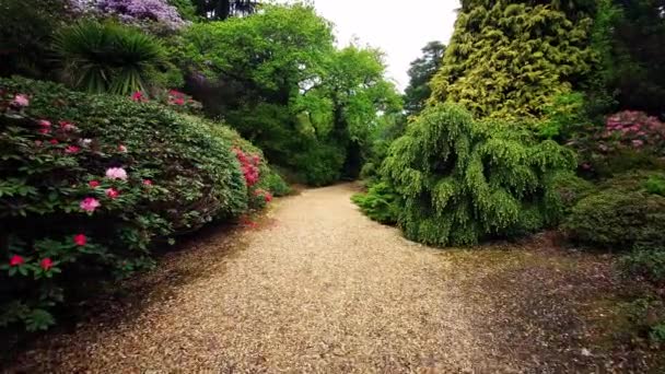 Kleurrijke planten in het voorjaar op het terrein van Exbury gardens, een grote bostuin van de Rothschild familie in Hampshire, Engeland - 20 mei 2021 - Video