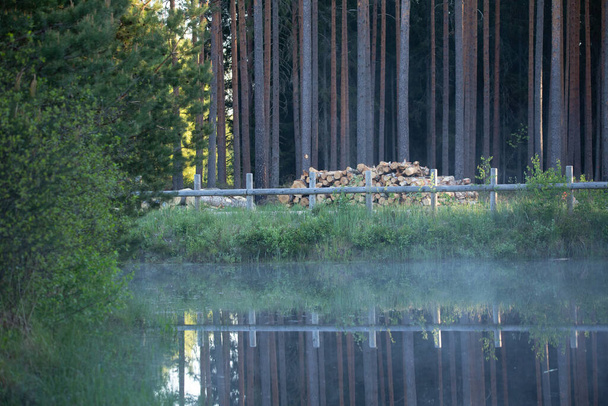 Μια όμορφη δασική λίμνη με τεχνητές ξύλινες κατασκευές. Καλοκαίρι τοπίο των δασών με μια μικρή λίμνη στη Βόρεια Ευρώπη. - Φωτογραφία, εικόνα