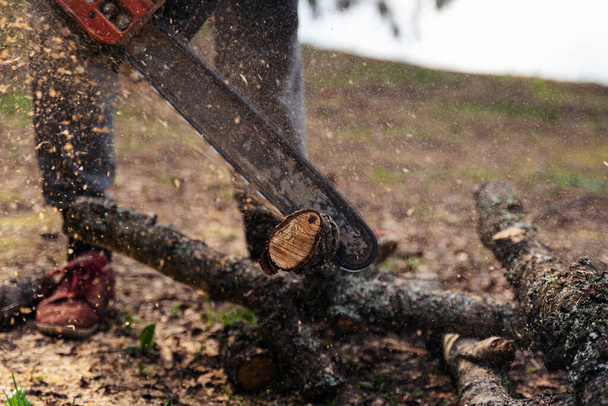 Man sawing wooden logs with a chainsaw in the forest, close up - Фото, зображення