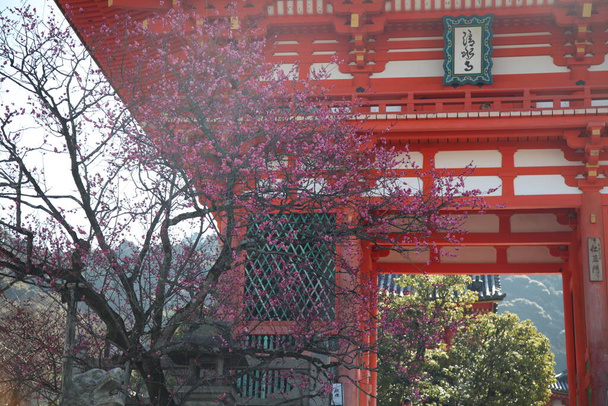Kyoto, Japan-12. MÄRZ 2013: Higashiyama kiyomizu dera- Nio-mon - Foto, Bild