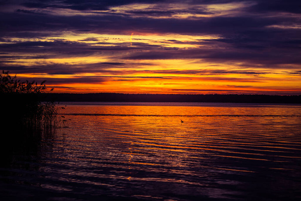 A beautiful, colorful evening scenery during sunrise at the lake. Lakeside sunset in Northern Europe. - Valokuva, kuva