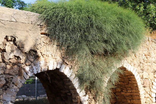 Un antiguo acueducto que tiene 200 años de antigüedad suministró agua de los manantiales Qabri en Akko, Galilea occidental, Israel.  - Foto, Imagen