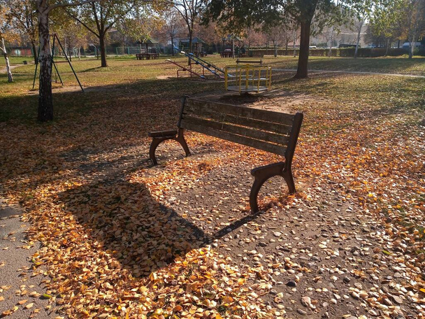 yksi rikkinäinen penkki tyhjässä kaupunginpuistossa, kaatuneet lehdet sen ympärillä, varjo, aurinkoinen syyspäivä - Valokuva, kuva