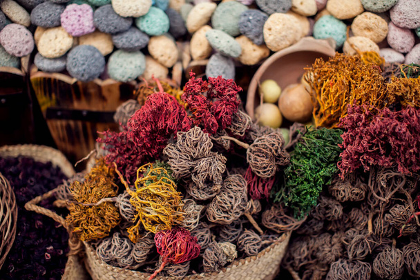Πολύχρωμα διαφορετικά μπαχαρικά και βότανα σε καλάθια στην αγορά μπαχαρικών στην Αίγυπτο - Φωτογραφία, εικόνα