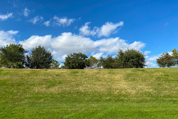 grass filled hill with bright lush trees on horizon with puffy white clouds and sunny blue sky - Фото, изображение