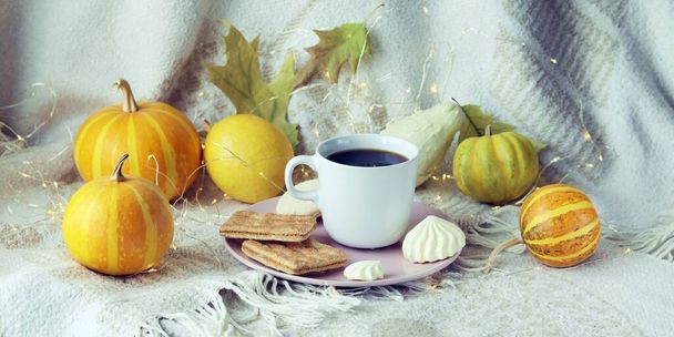 Une tasse de café avec meringues, biscuits, citrouilles, feuilles sur un plaid chaud, illumination, le concept de confort à la maison, détente, solitude, Action de grâce, automne, Octobre  - Photo, image