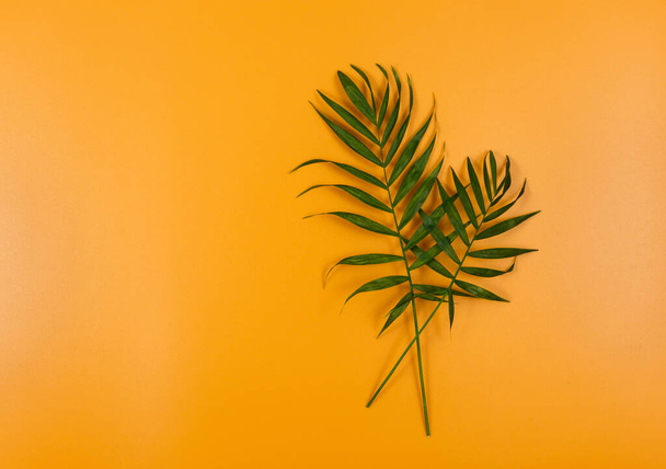 Green palm branches over an orange background. Flat lay, top view, copy space. Mock up, summer holidays, vacation, travel, fashion concept - Photo, Image
