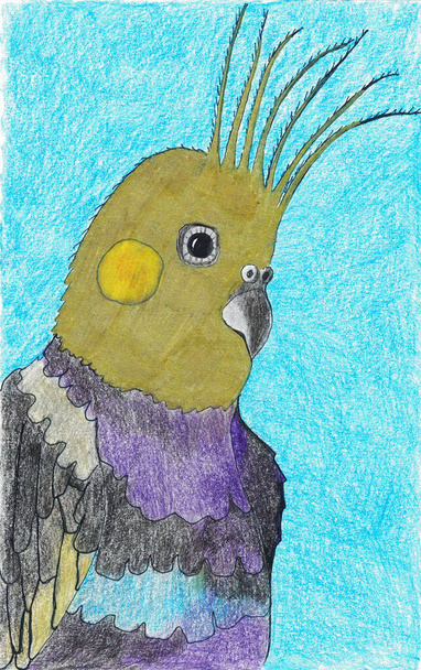 青い背景に黄色の頭とカラフルな羽を持つ漫画のオウム - 写真・画像