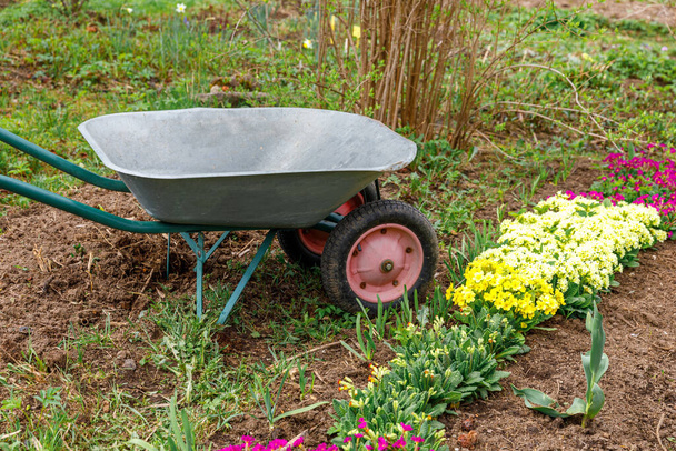 Flowerbed with flowers and gardener equipment wheelbarrow garden cart in garden on summer day. Farm worker tools ready to planting seedlings or flowers. Gardening and agriculture concept - Photo, Image