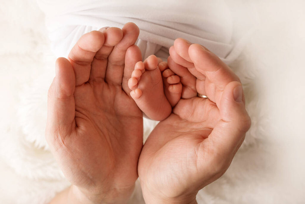 Childrens feet in hold hands of mother and father. Mother, father and Child. Happy Family people concept. - Valokuva, kuva
