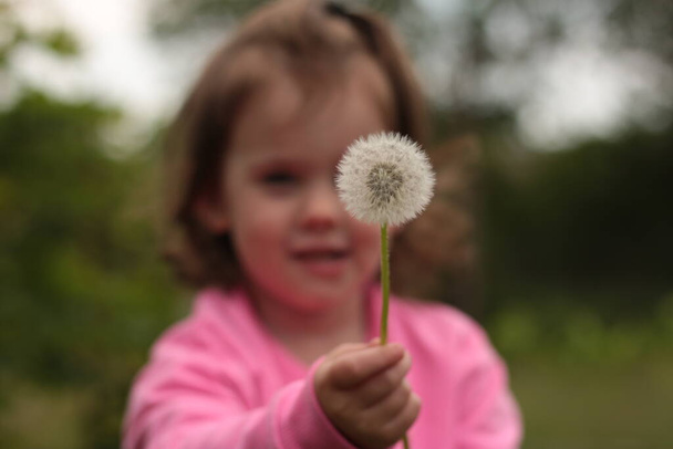 Dandelion in focus on blurred little white girl background - Photo, Image