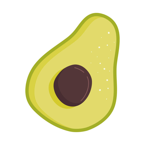 Half an avocado fruit with stone isolated on a white background. Avocado for the keto diet. Vector illustration of healthy healthy food. - Vector, Image