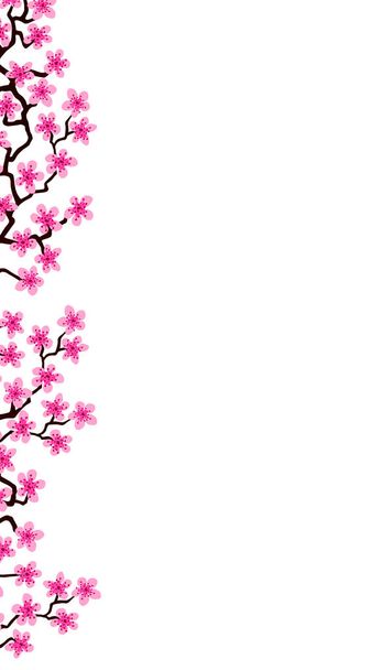 Pystysuora banneri kukka sakura flowers.Floral häät kutsukortti malli suunnittelu. Valkoinen tausta kesän fuksia kukkivat Sakura haara koristelu, kopioi tilaa. Postikortti Äiti, Naisten päivä - Valokuva, kuva