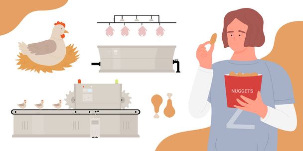 Куриные мясные продукты, самородки для девочек, производственная цепочка, птицеводство - Вектор,изображение