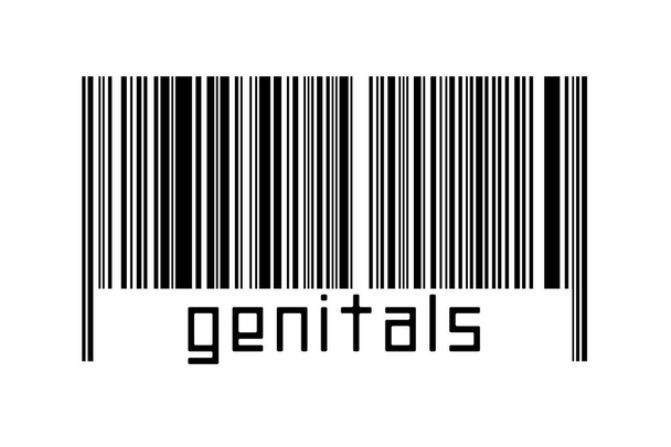 Digitalization concept. Barcode of black horizontal lines with inscription genitals below. - Photo, Image