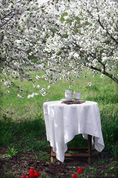 steel life - breakfast in the spring garden. table with white tablecloth served for tea drinkin - Foto, Imagem