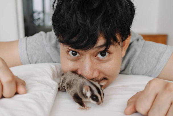 Happy man is playing with his pet Sugar Glider while stay at home. - Foto, Bild