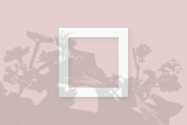 Макет с овощными тенями накладывается на 2 квадратные рамки из текстурированной белой бумаги на розовом фоне стола - Фото, изображение