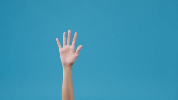 Młoda kobieta pokazuje dłoń zaciśnięte pięści i pukanie izolowane na niebieskim tle w studio. Kopiuj miejsce na umieszczenie tekstu, wiadomość na reklamę. Obszar reklamowy, makiety treści promocyjnych. - Materiał filmowy, wideo