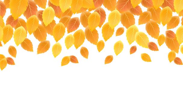 Autumn leaves autumn landscape background  - Vector, Image